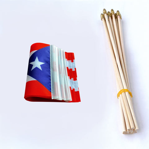 TSMD Puerto Rico flag displayed indoors with vivid polyester colors.