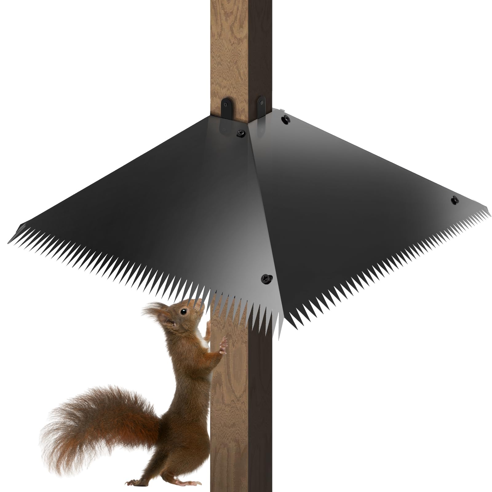 TSSOIYLR squirrel baffle spikes on galvanized steel protect feeders.