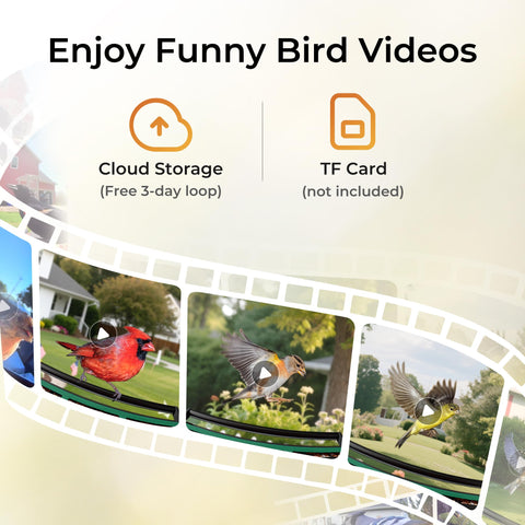 TT Nature AI bird identification highlights species in real time