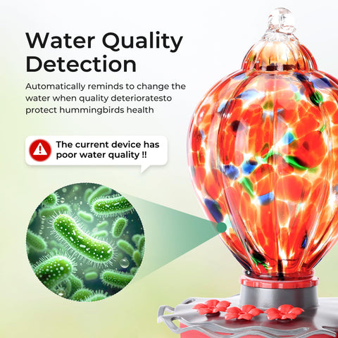 TT Nature ant moat hummingbird feeder blocks ants during feeding