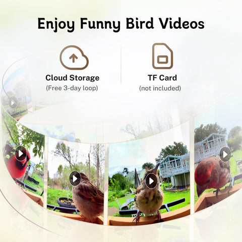TT Nature Bird Feeder Camera wide-angle view captures more birds and surroundings.