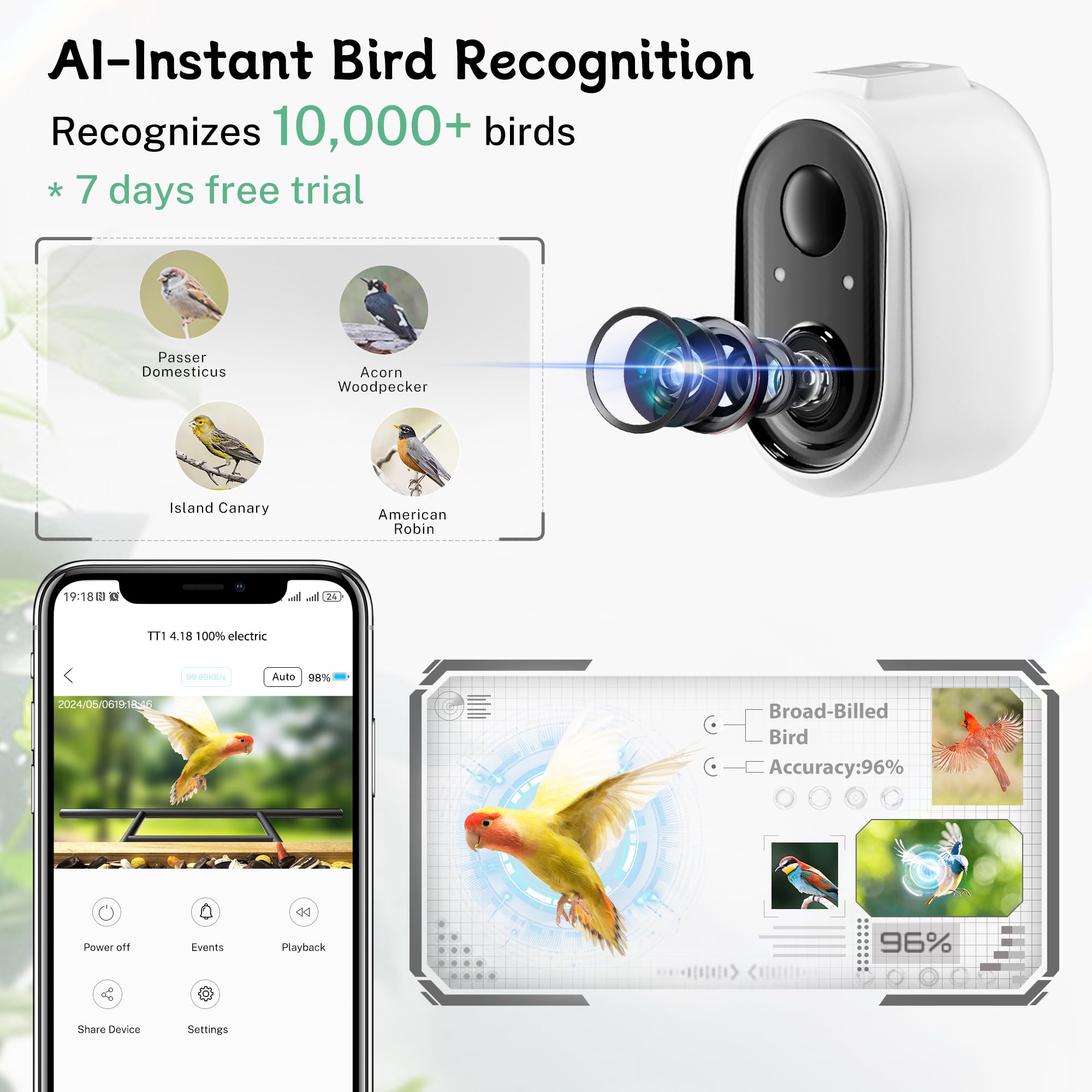 TT Nature Bird Feeder Camera night shot provides clear night footage for wildlife viewing.