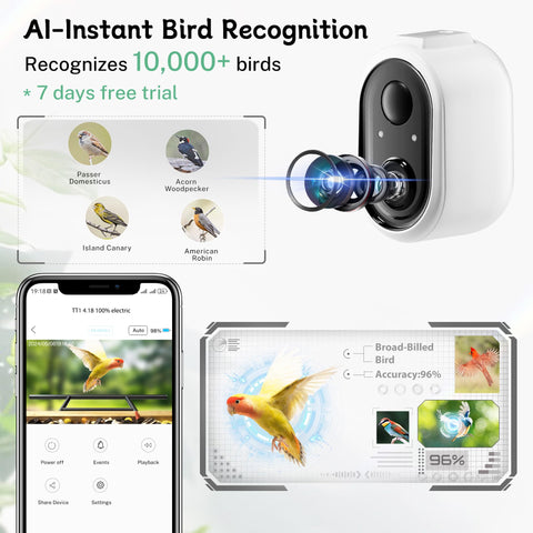TT Nature Bird Feeder Camera night shot provides clear night footage for wildlife viewing.