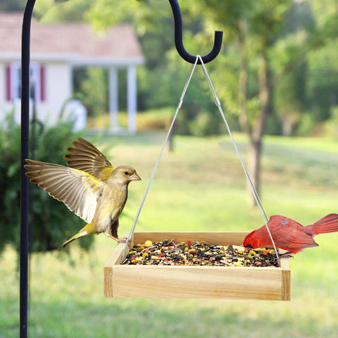 TT Nature bird feeder gift for nature lovers and garden birds.