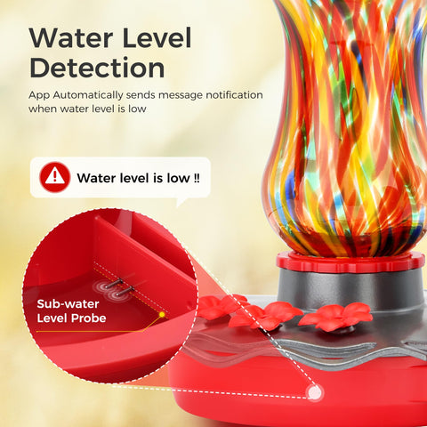 TT Nature glass feeder with wide-mouth design for easy cleaning and refilling