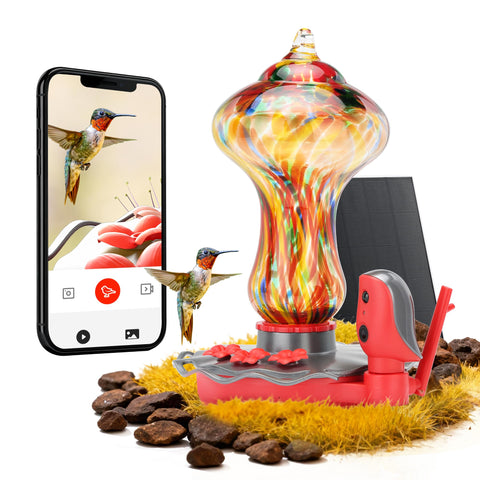 TT Nature glass smart hummingbird feeder with anti-ant moat protects nectar outdoors