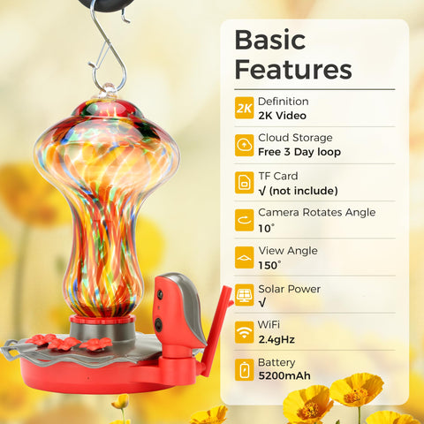 TT Nature hummingbird feeder compatible with Alexa and Google Assistant for hands-free viewing