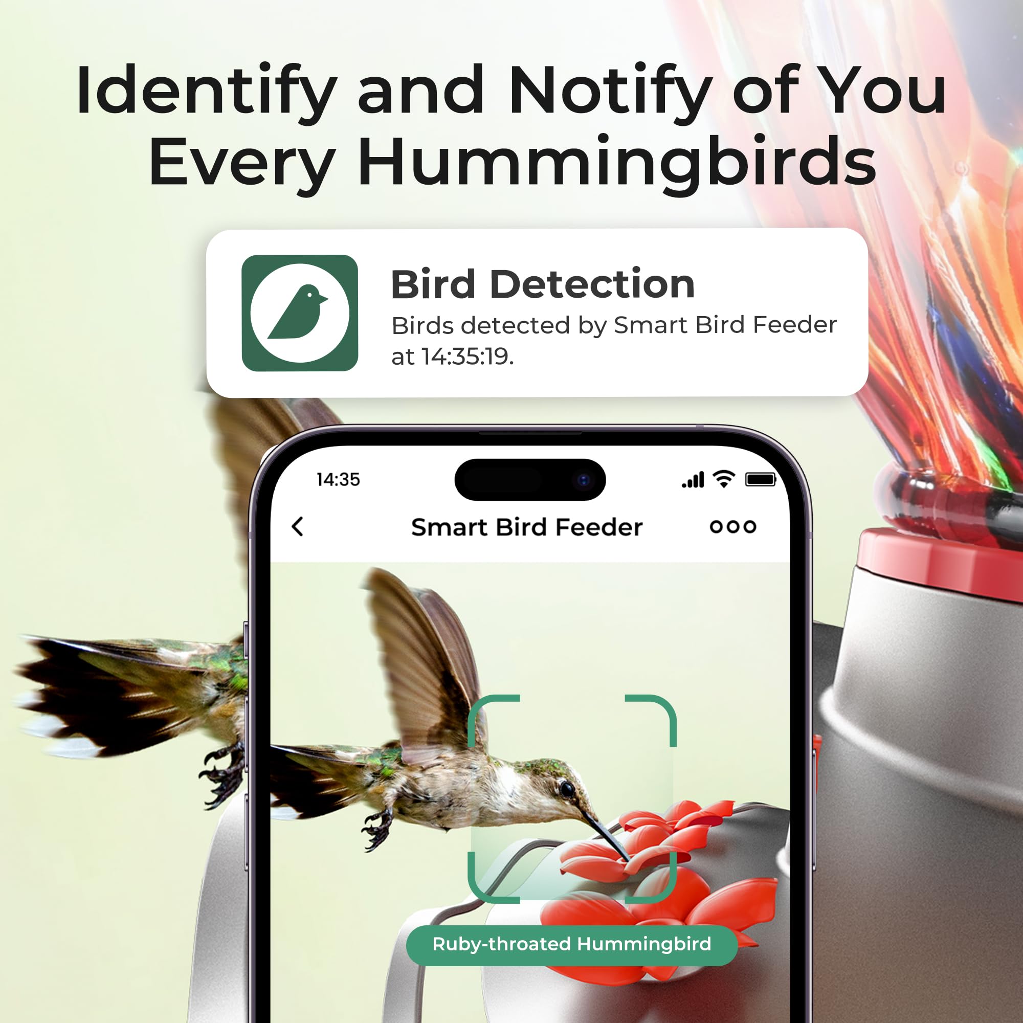 TT Nature live stream hummingbirds viewable on device