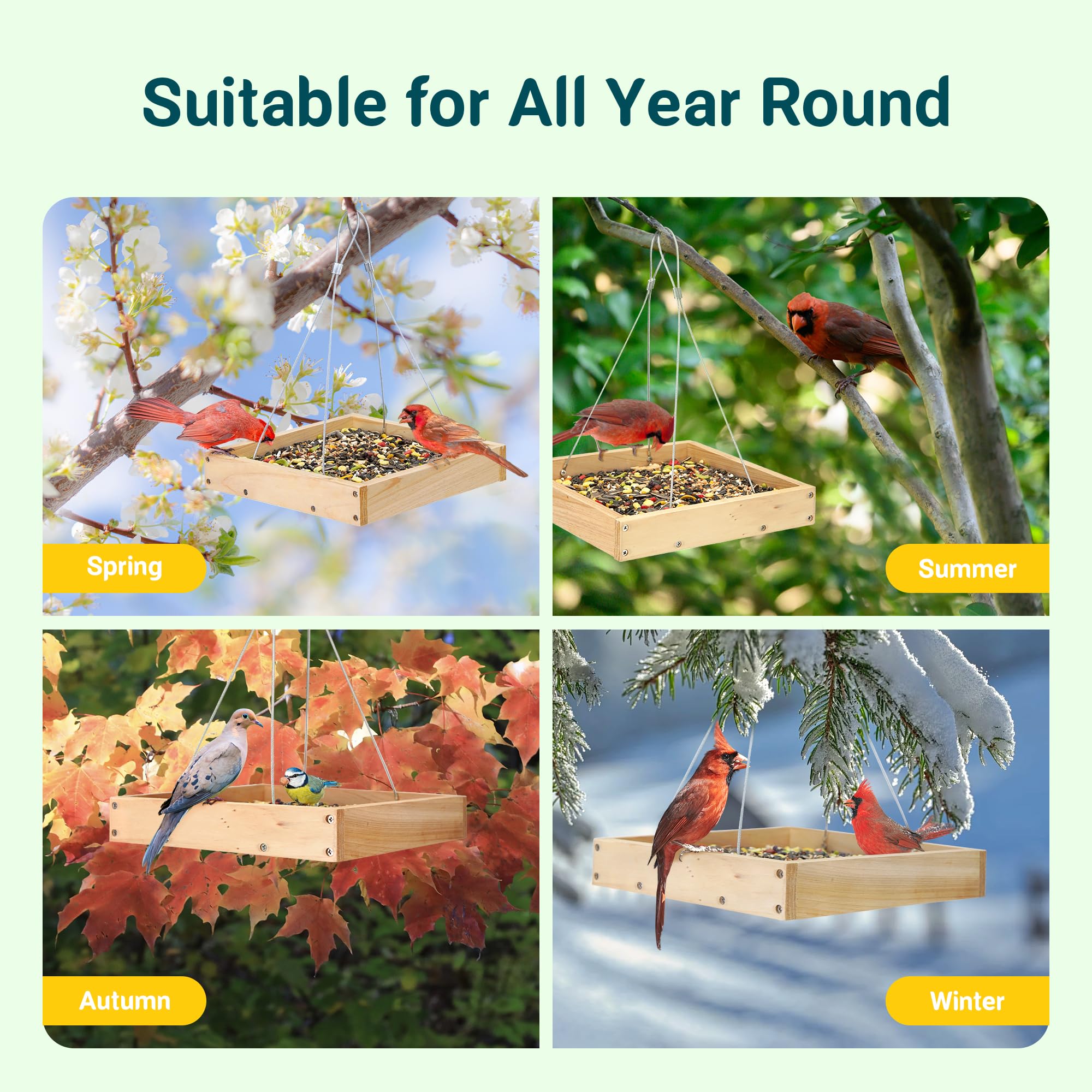 TT Nature ready-to-hang bird feeder for quick outdoor setup.
