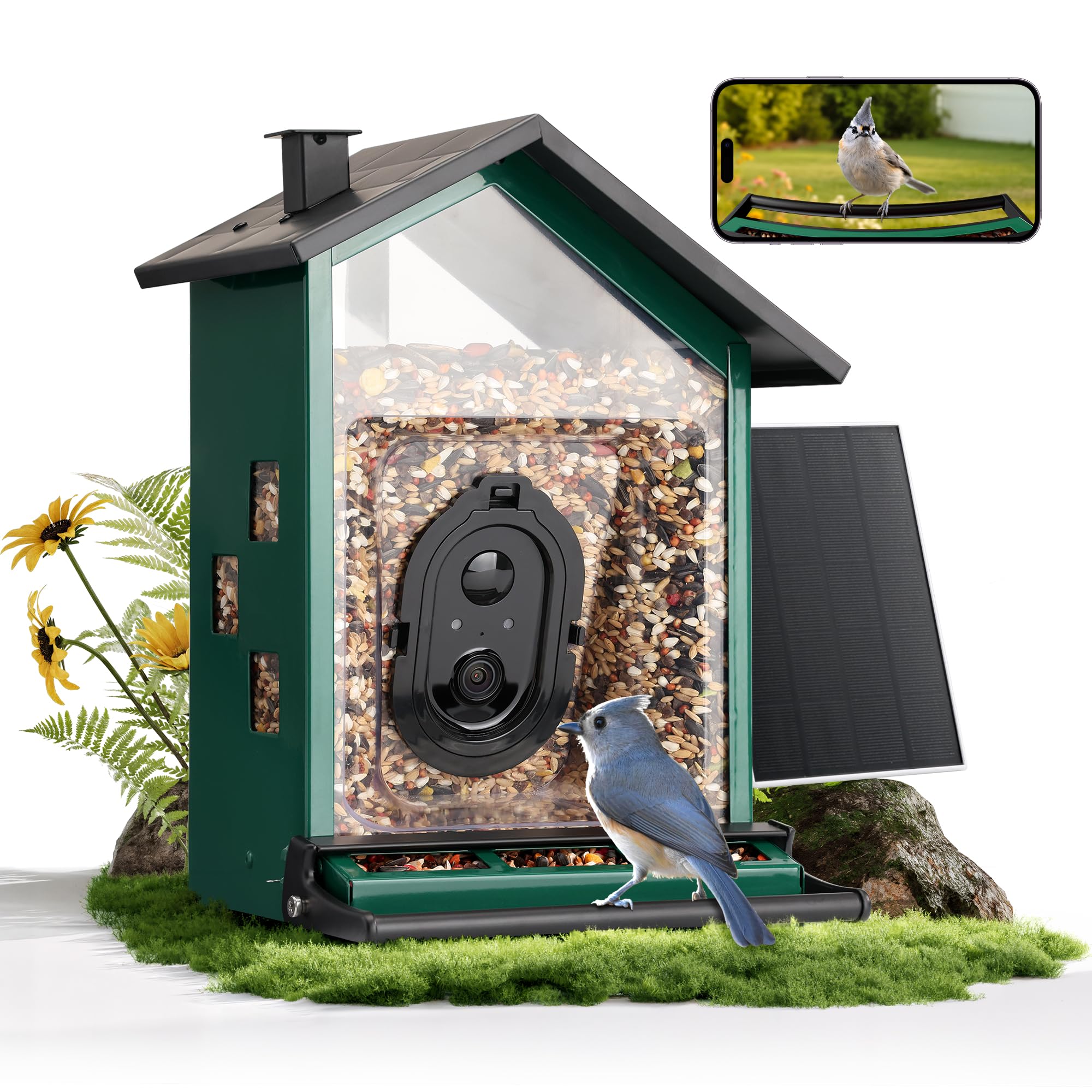TT Nature smart bird feeder front view with camera for identification and viewing
