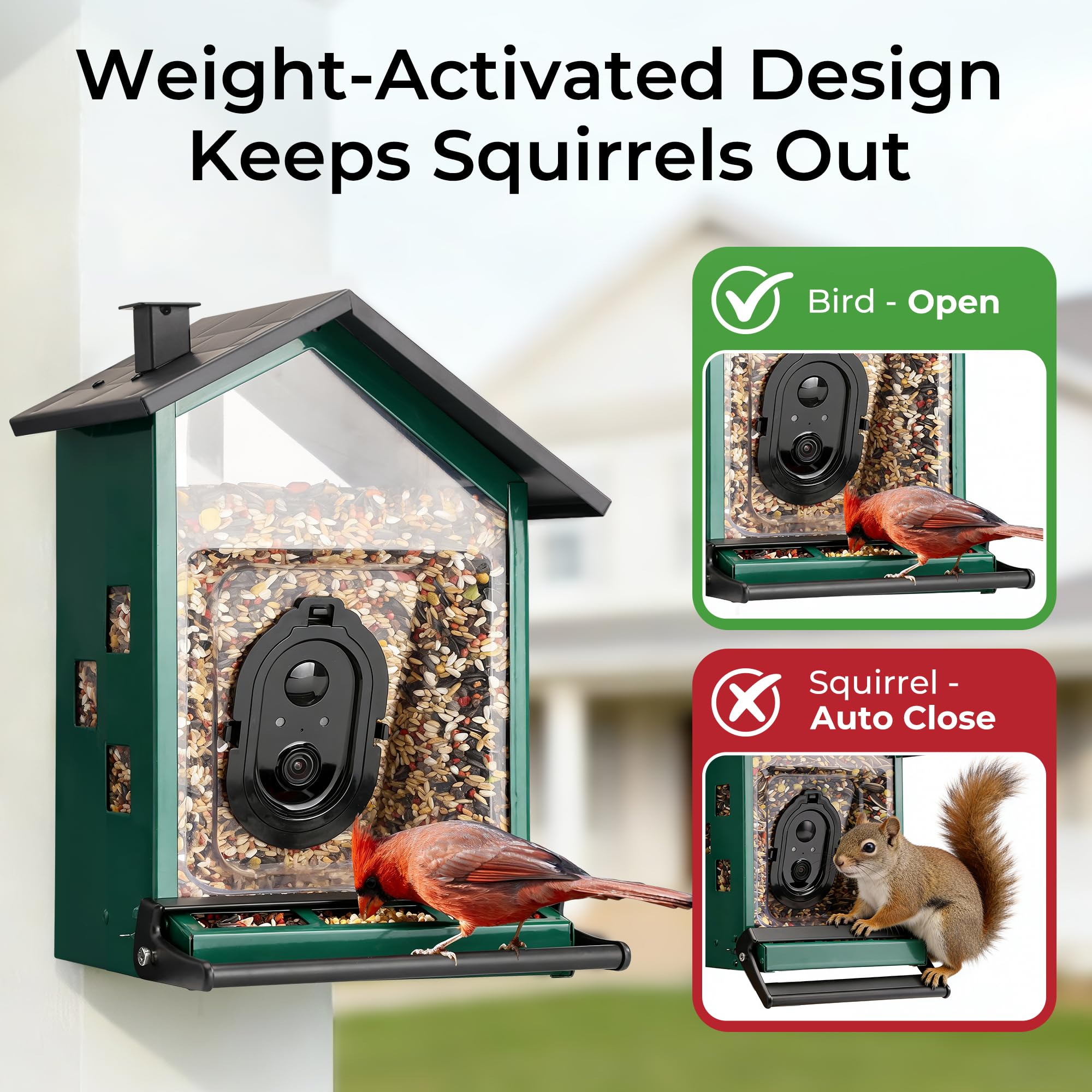 TT Nature bird feeder side view showing solar panel and weatherproof housing for outdoor use