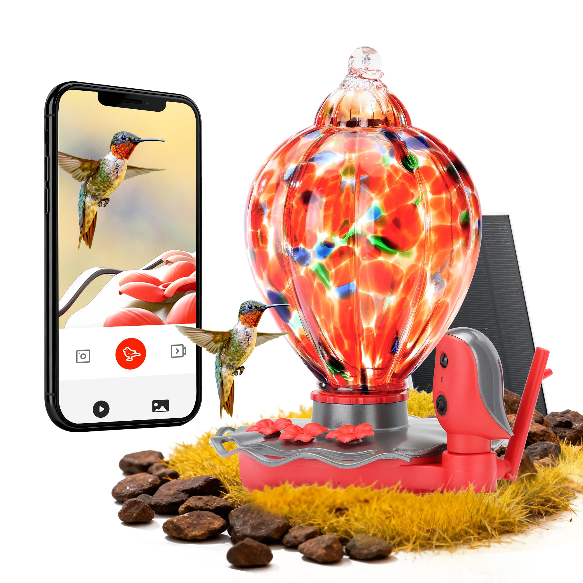 TT Nature smart glass hummingbird feeder with camera attracting birds securely