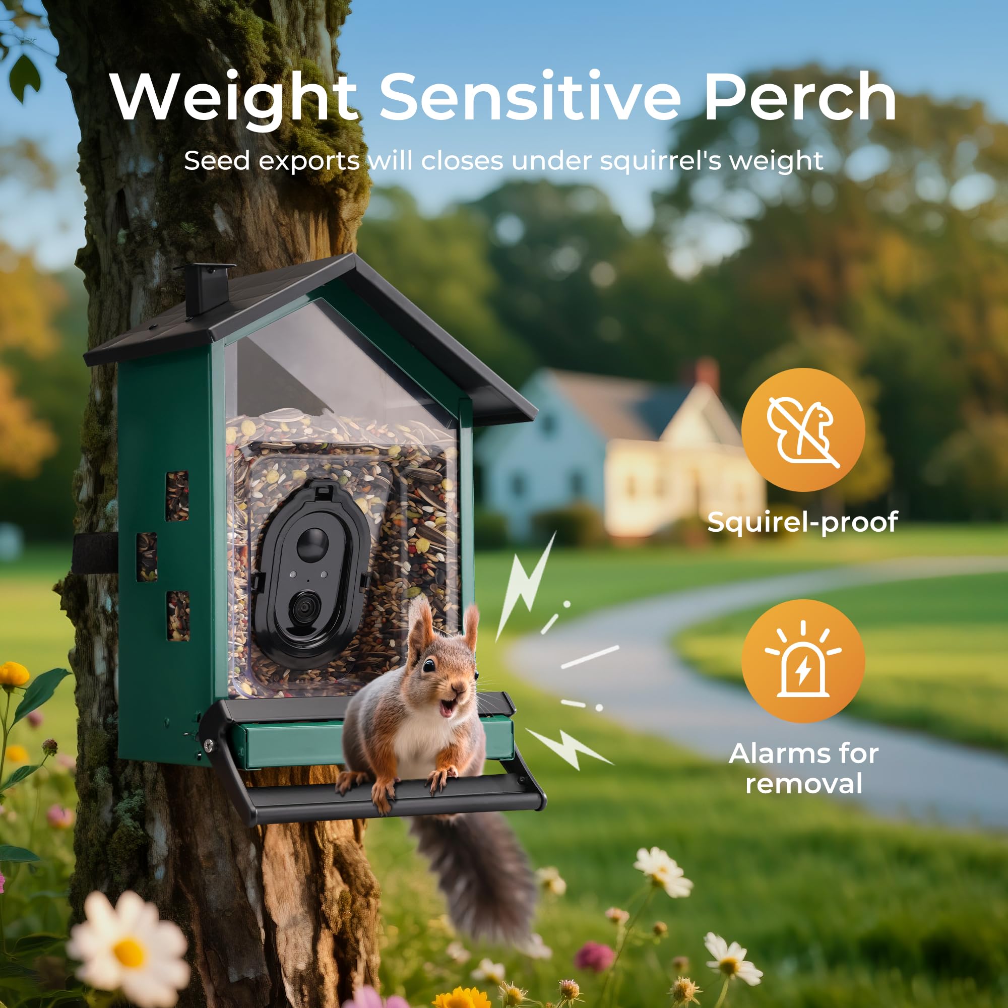 TT Nature squirrels-proof perch in action guarding seeds from larger animals