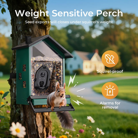 TT Nature squirrels-proof perch in action guarding seeds from larger animals