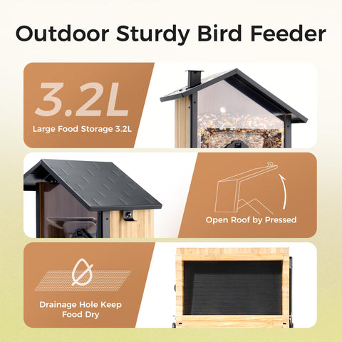 TT Nature Upgrade AI bird species recognition enhances visits with IDs.