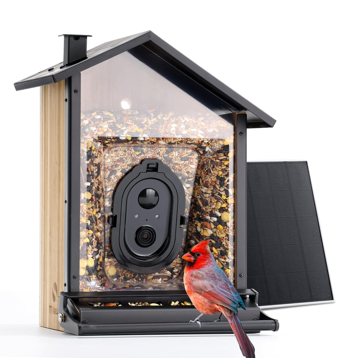 TT Nature Upgrade bird feeder camera records visiting birds in 2K for species recognition.