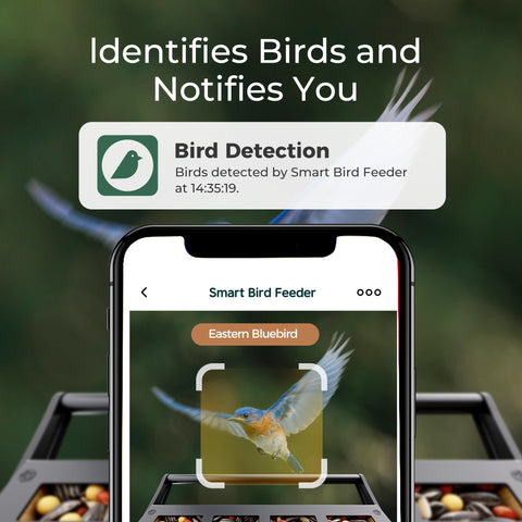 TT Nature Upgrade weight-activated perch keeps seeds safe from larger birds and squirrels.