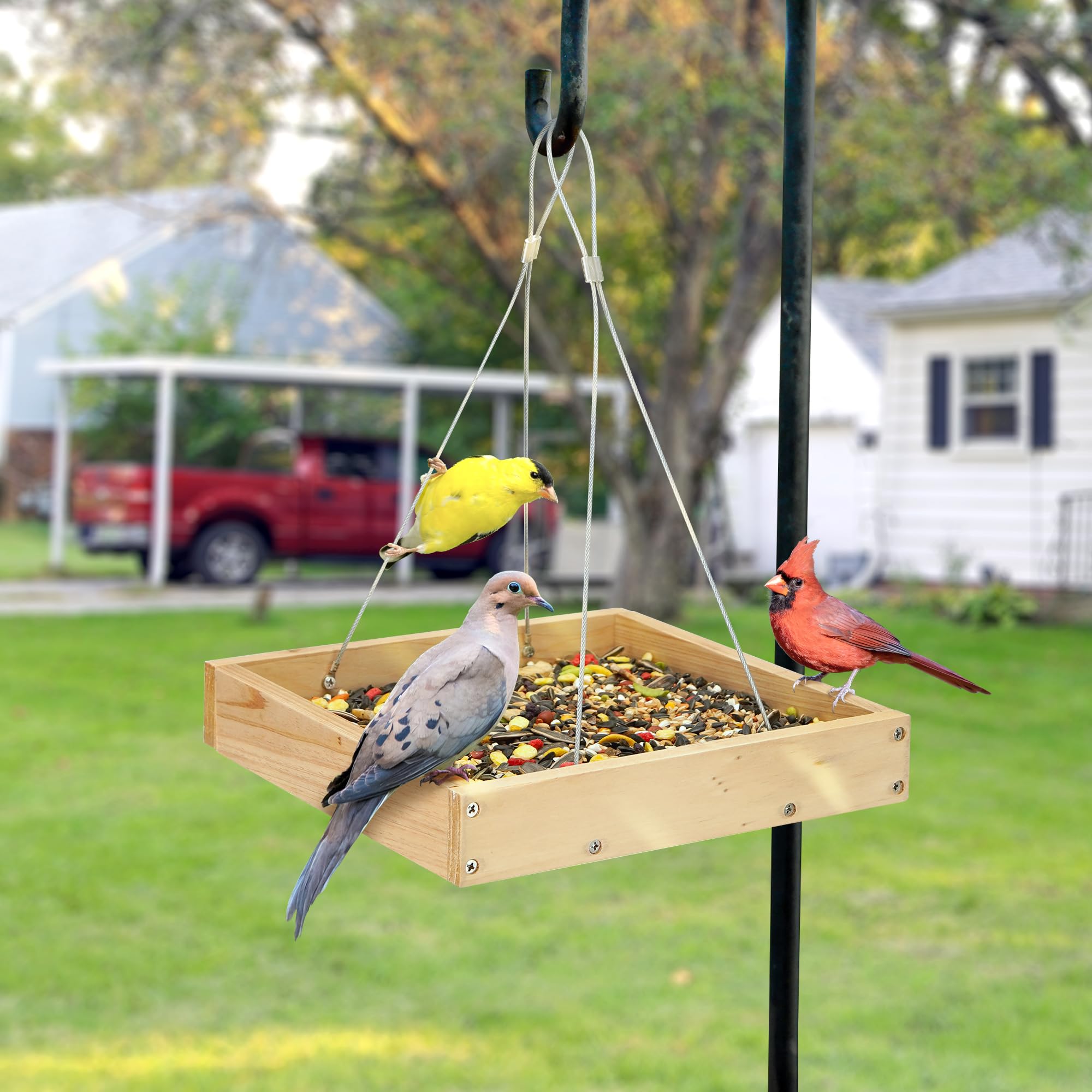 TT Nature weather-resistant wood bird feeder withstands rain and sun.