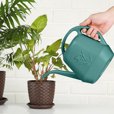 Ideal for indoor potted plants and balcony containers