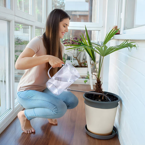 TTAOE GN modern rainbow design adds style to any plant corner.