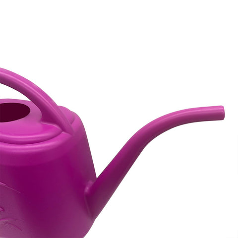 TTAOE GN plant watering can with long-stem spout for accurate distant pouring