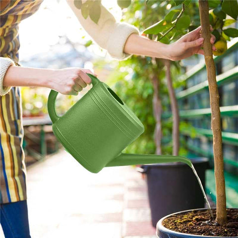Long-spout TTAOE GN watering can enables precise water delivery.