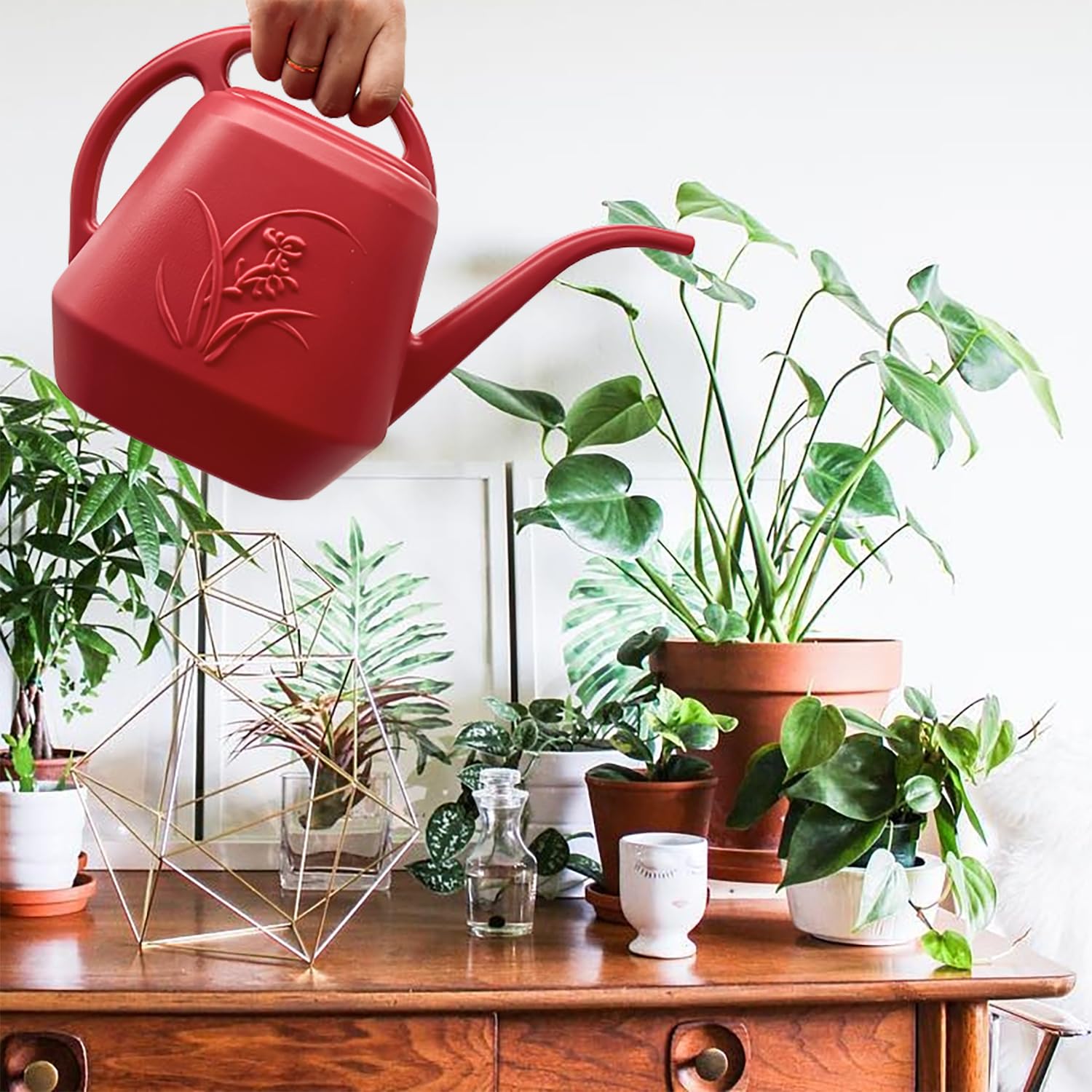 TTAOE GN ideal for both indoor and outdoor plant care.