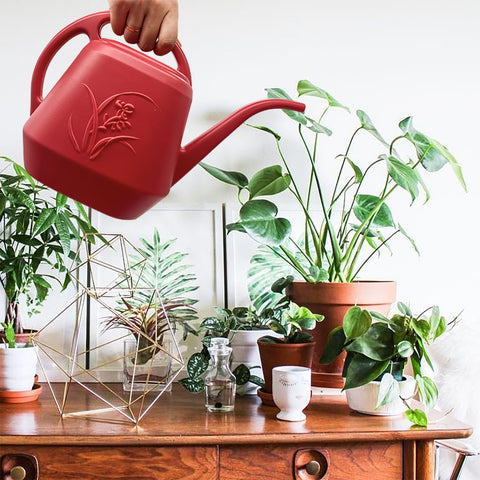 TTAOE GN ideal for both indoor and outdoor plant care.