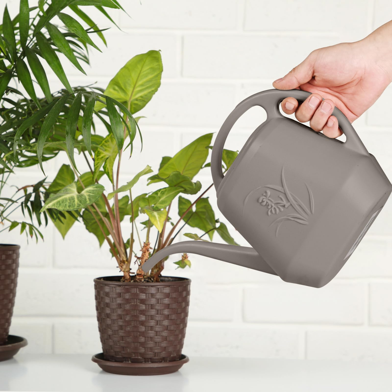 TTAOE GN watering can suitable for indoor and outdoor plant care.