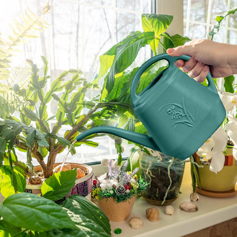 TTAOE GN green watering can suitable for balcony and windowsill plants