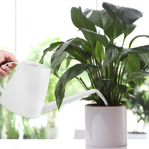 TTAOE GN indoor-outdoor use suitable for windowsills and patios.