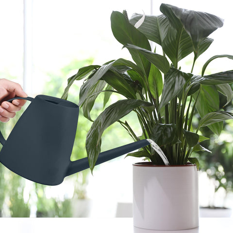 TTAOE GN Watering Can suitable for outdoor garden watering