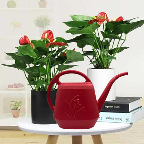 TTAOE GN sturdy plastic construction for durable use.