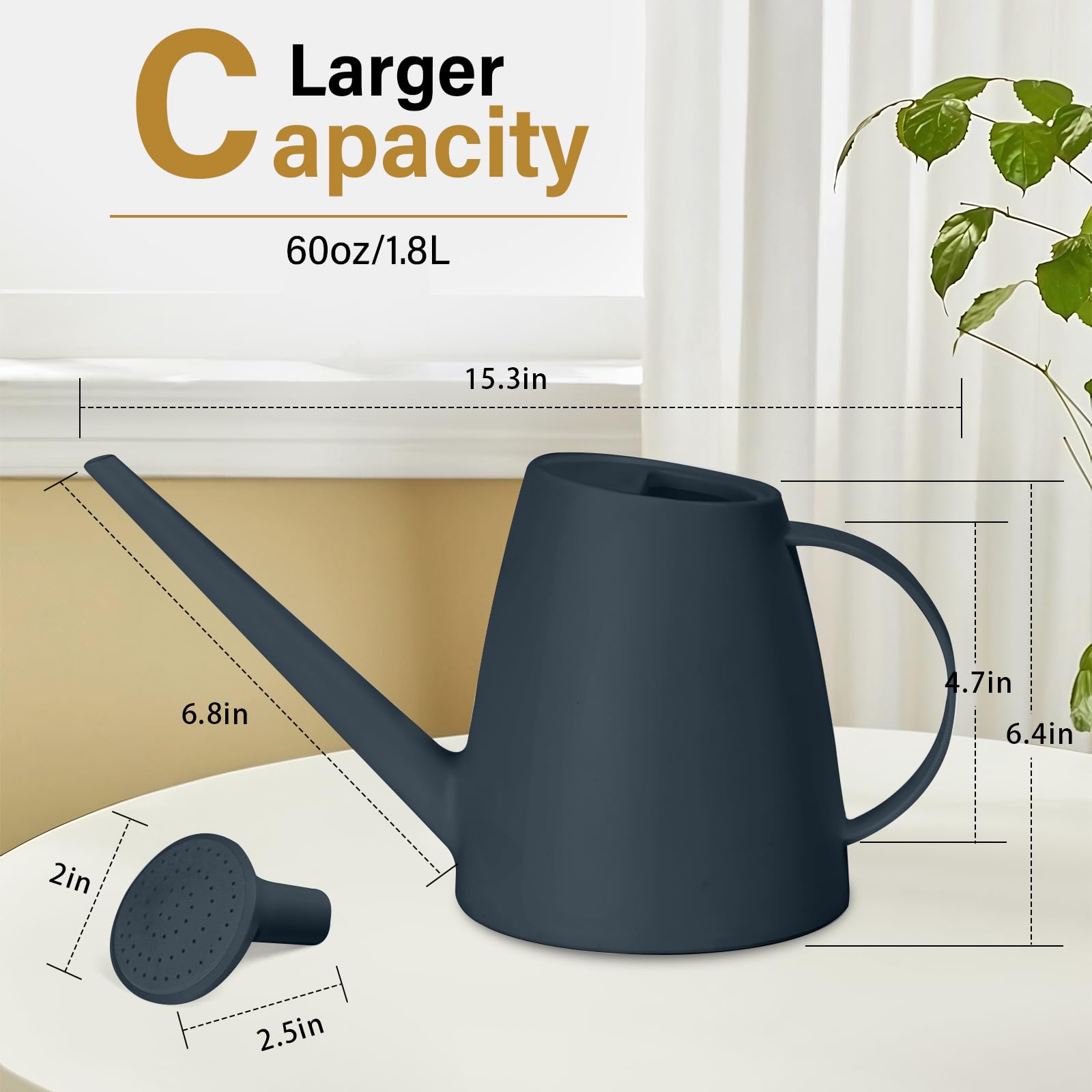 TTAOE GN Watering Can removable sprayer for gentle mist or steady flow
