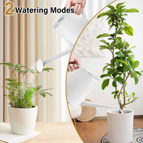 TTAOE GN removable sprayer offers steady stream or gentle shower.