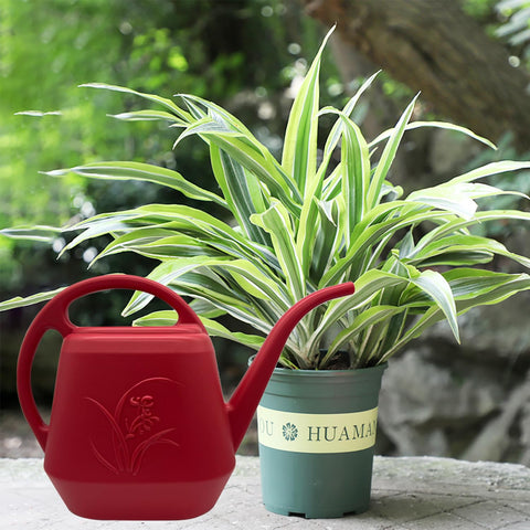 TTAOE GN wine red cap adds style and function.
