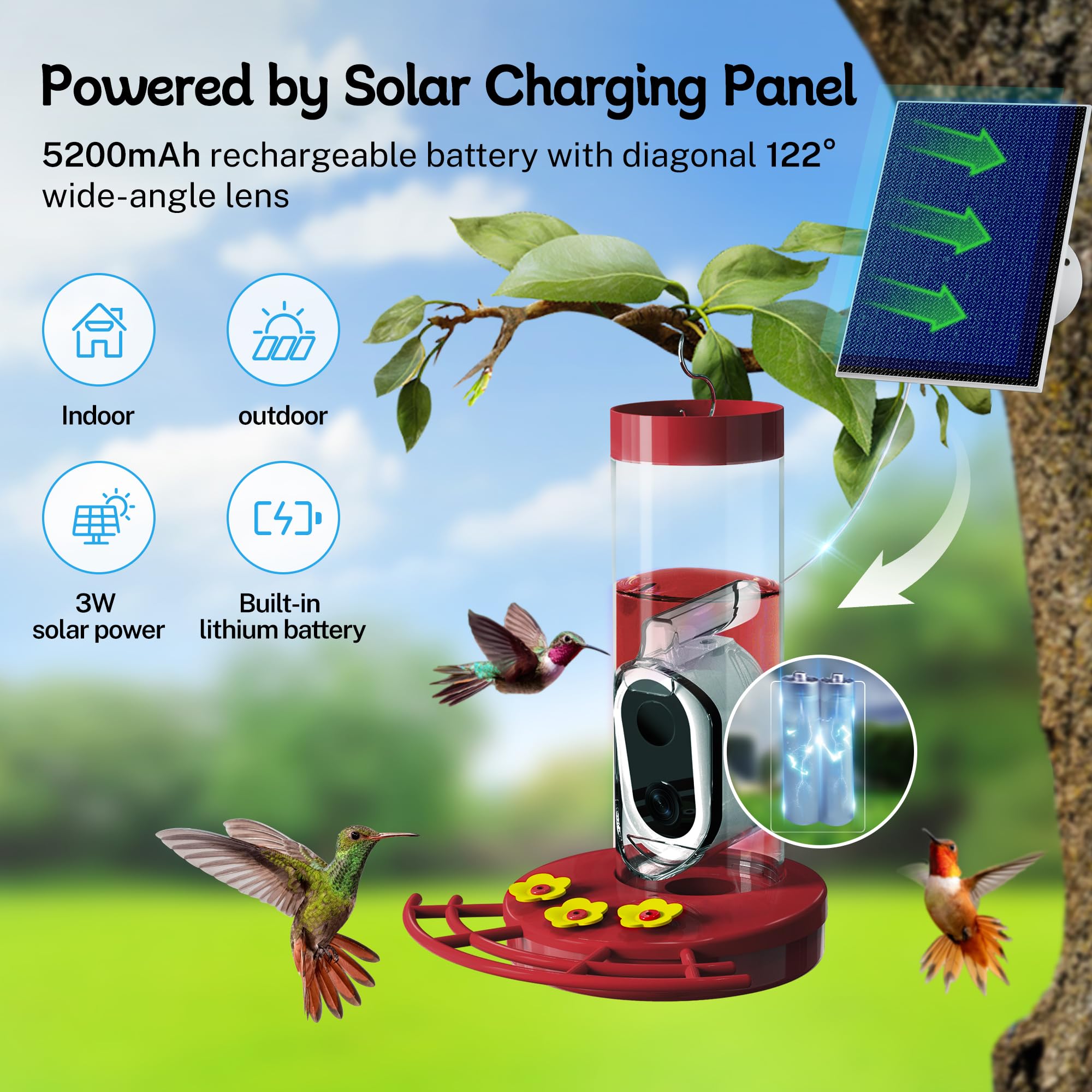 TT Nature gift option for family and friends makes a thoughtful present.