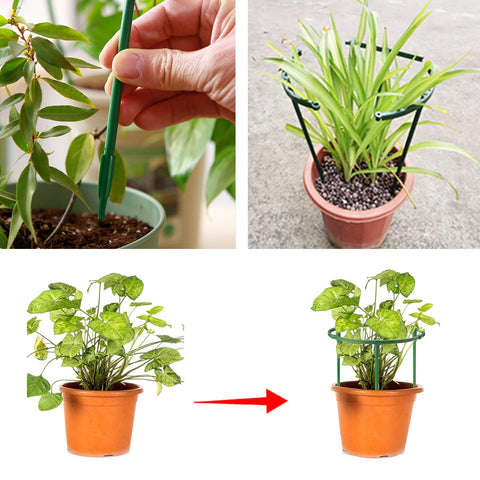TTOVIA indoor plant stake stabilizes small pots and succulents.