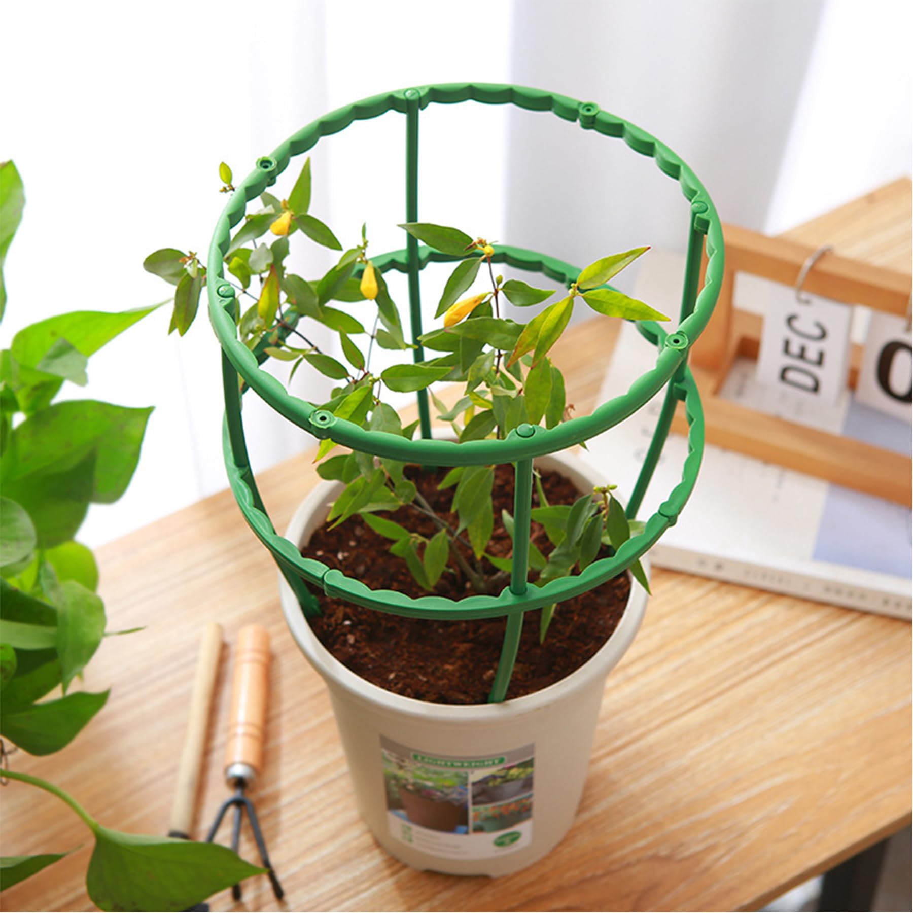 TTOVIA versatile support for tomato, monstera, and peony growth.
