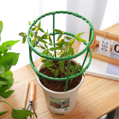 TTOVIA versatile support for tomato, monstera, and peony growth.