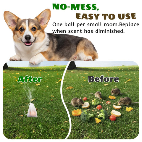 Tubadros vehicle repellent helps deter rodents from cars and trucks.