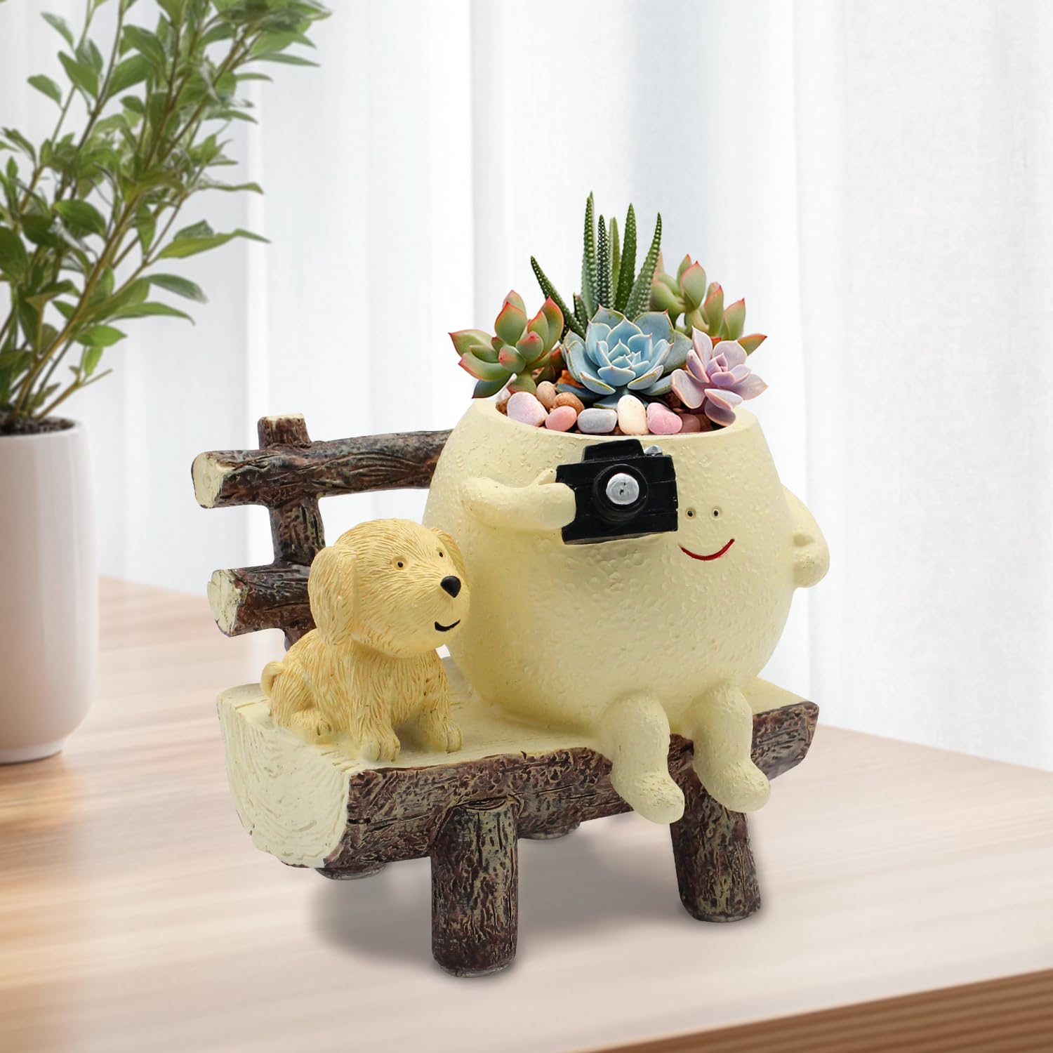 Tuenmofun festive design makes a thoughtful gift for plant lovers