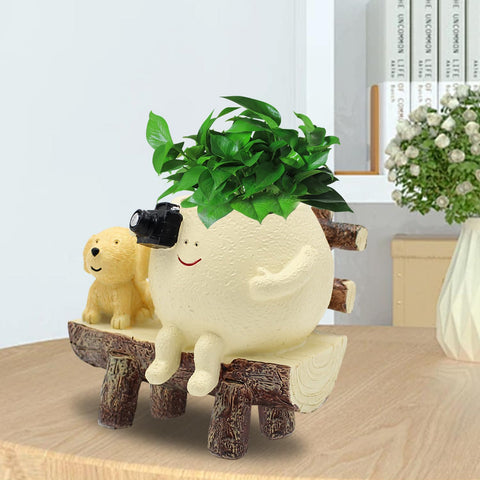 Tuenmofun indoor-outdoor planter for desks, shelves, and patios