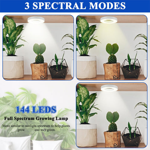 Tujoe compact round lamp heads blend with decor while delivering targeted light.