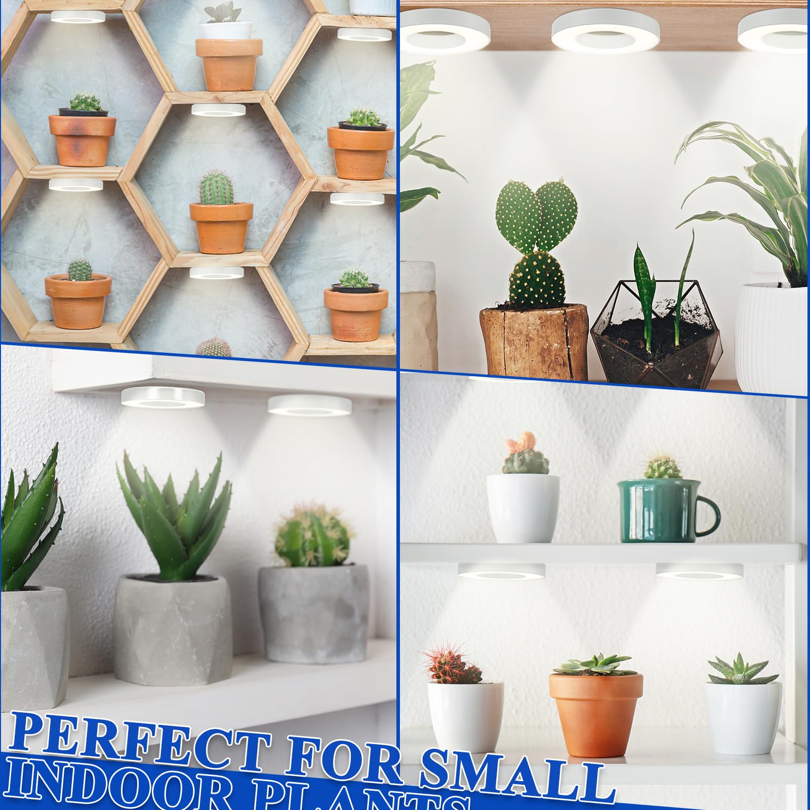Tujoe indoor plant light is suitable for orchids, tomatoes, bonsai, and seedlings.