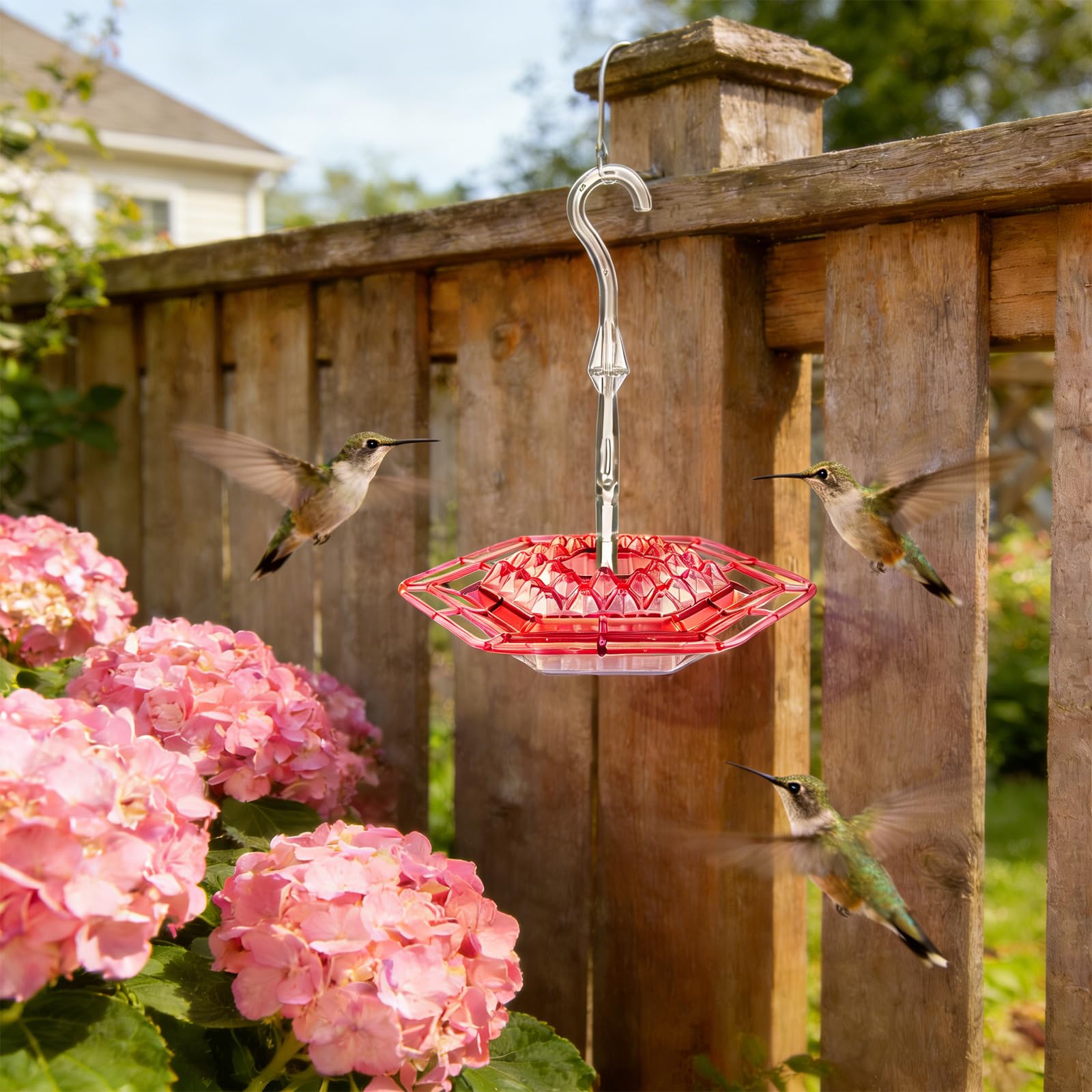 TUKJOTZ two-pack hummingbird feeders for versatile placement