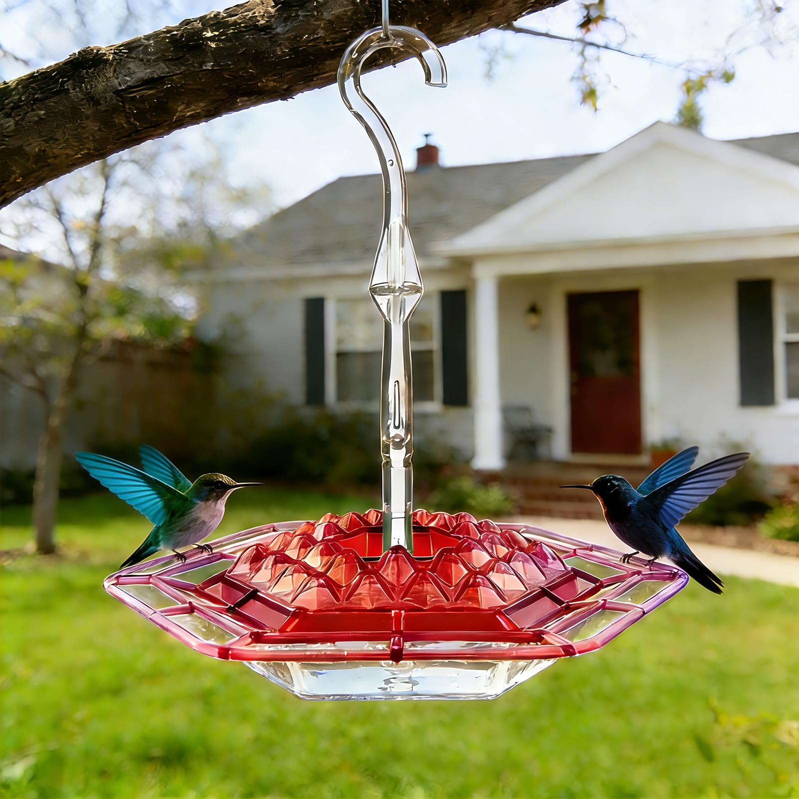 TUKJOTZ 16 oz feeder shown in a sunny garden for backyard birds