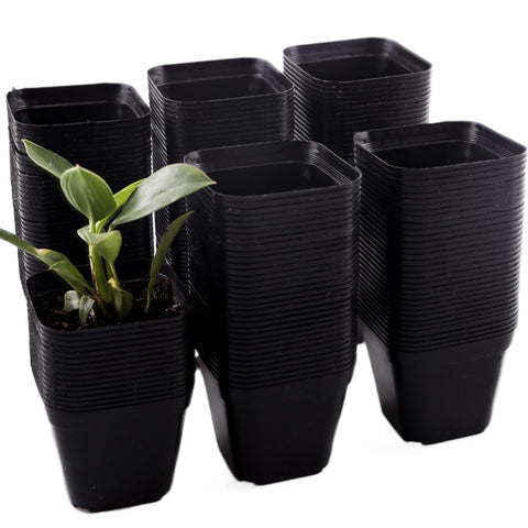 Tulpeed 200-pack square nursery pots for efficient seedling starts
