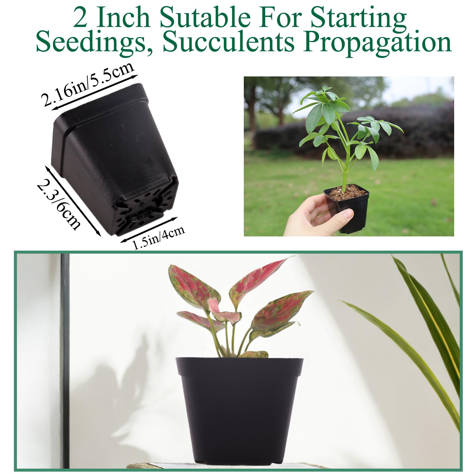 Tulpeed 200-pack square pot stack demonstrating space-saving storage.