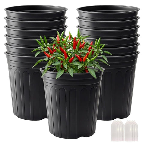 Tulpeed 25-pack nursery pots for seedlings, indoor and outdoor use.